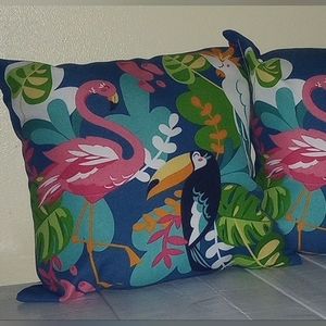 Pair of 2 Indoor/Outdoor Pillows